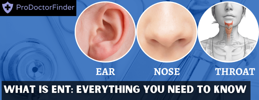 What is ENT: Everything You Need to Know
